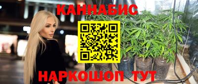 МДПВ Пушкино